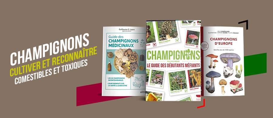 Livres champignons