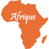 Livres sur l'Afrique - Géopolitique de l'Afrique - Investir et bâtir en Afrique